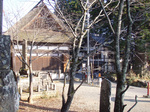2009uzuraya02.jpg