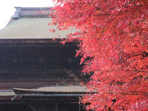 2011togakushi07.jpg